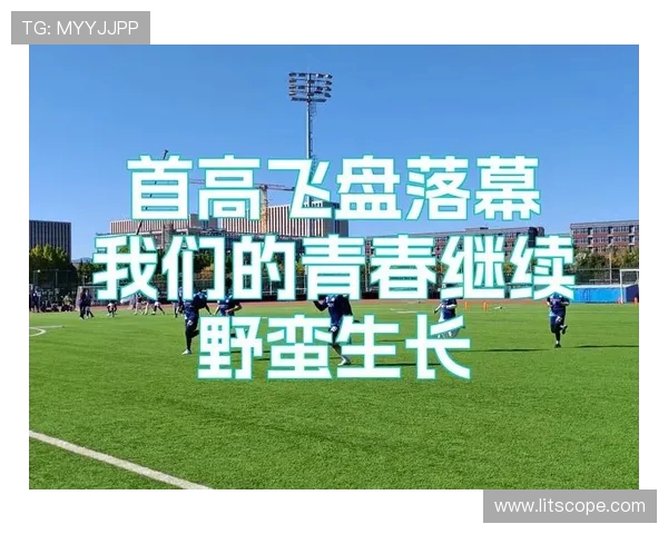 广州飞盘队的崛起之路极限运动联赛中的奋斗与荣耀