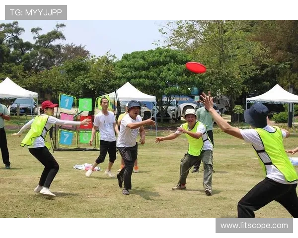 飞盘灵活性榜单揭晓杭州飞盘队荣获第二名成就斐然
